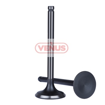 Engine_valve